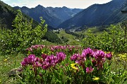 99 Scendendo dalla Terrazza Salomon a Foppolo